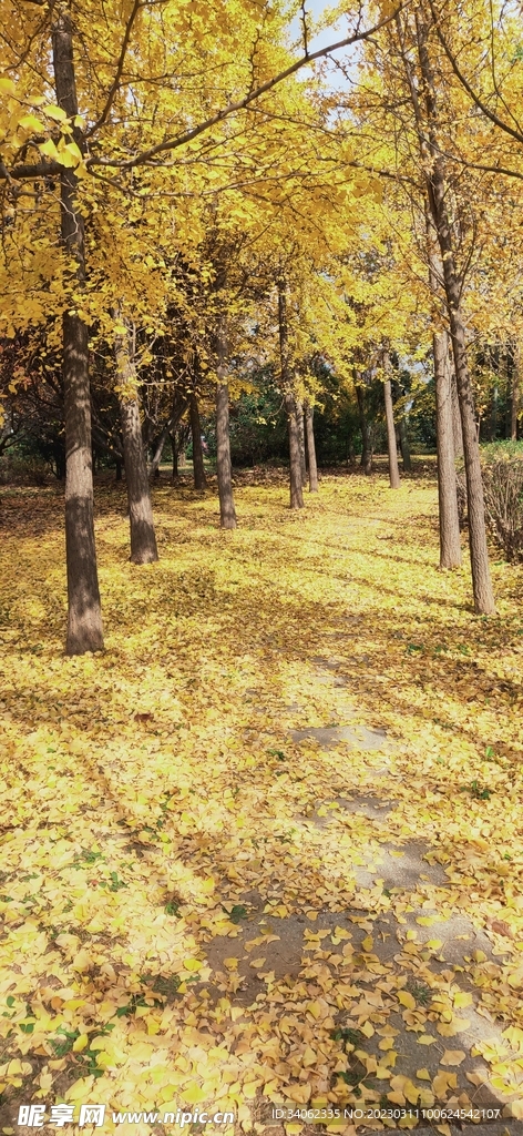 马山神秘风景