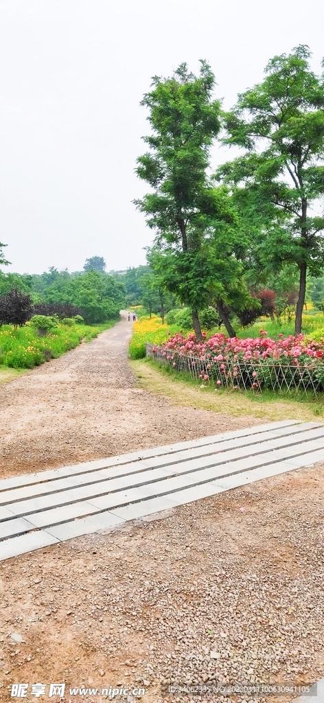 马山神秘风景