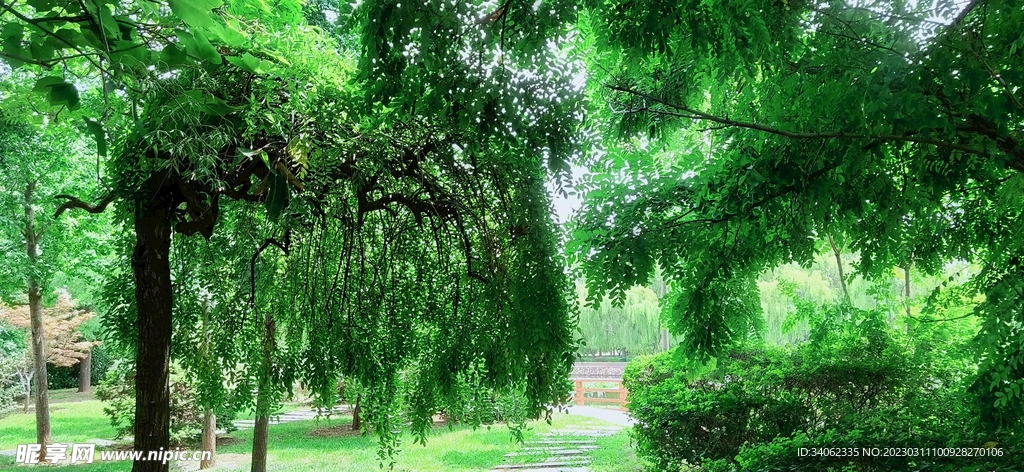 马山神秘风景