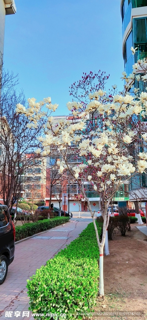 马山神秘风景