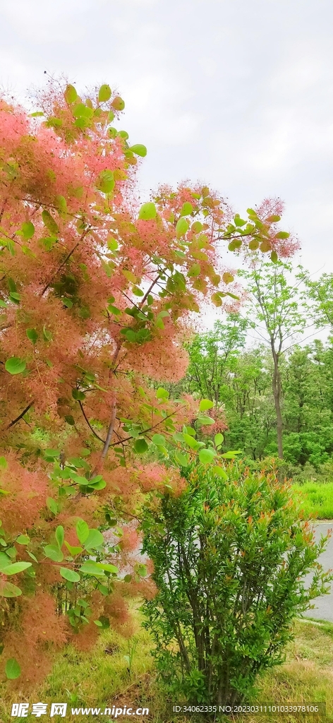 马山神秘风景