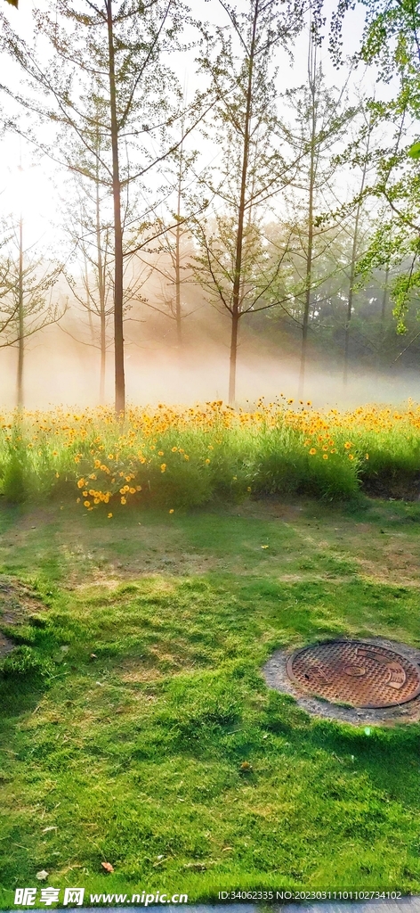 马山神秘风景