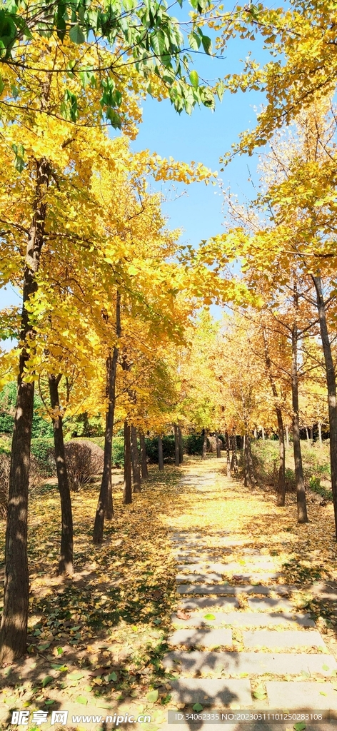 马山神秘风景