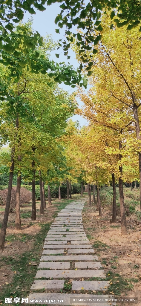 马山神秘风景