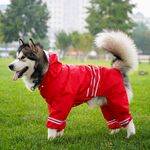 狗