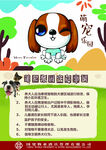 萌宠乐园