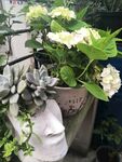 花园一角