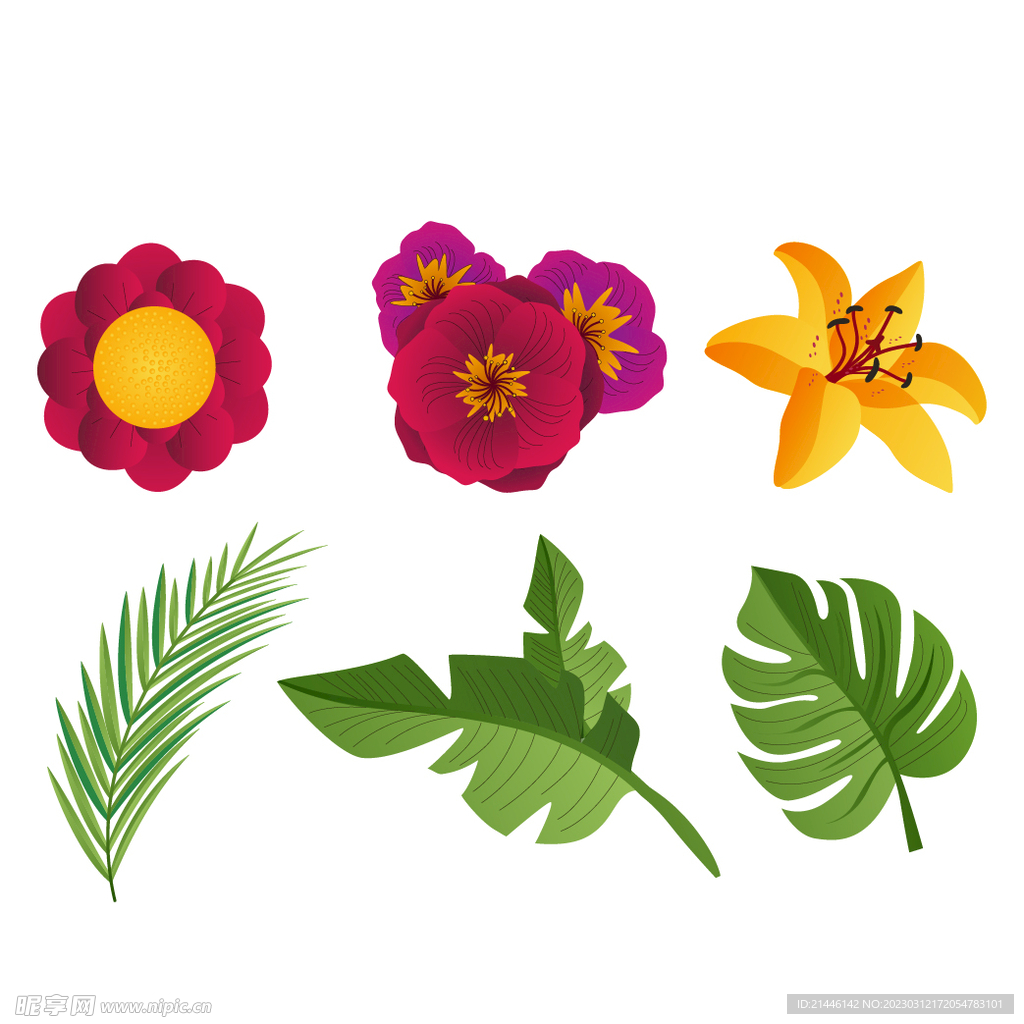 花卉