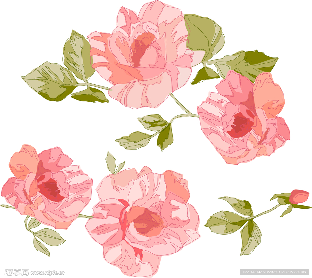花卉