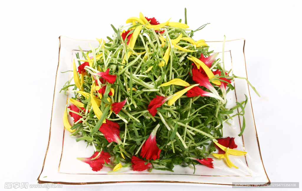 草尖吻鲜花