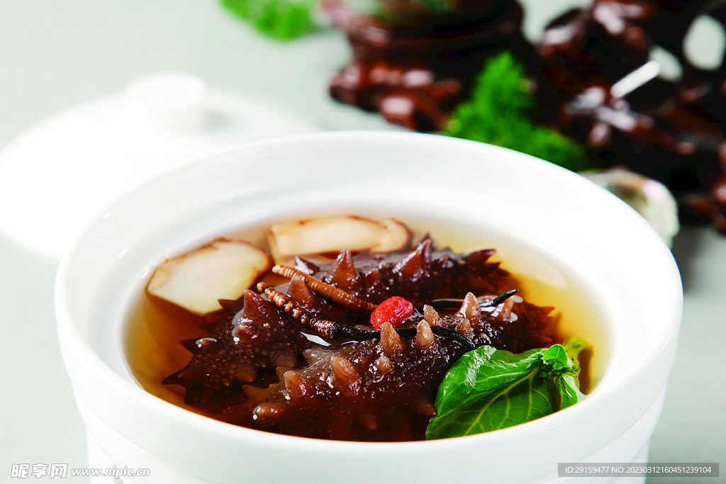 虫草松茸炖辽参