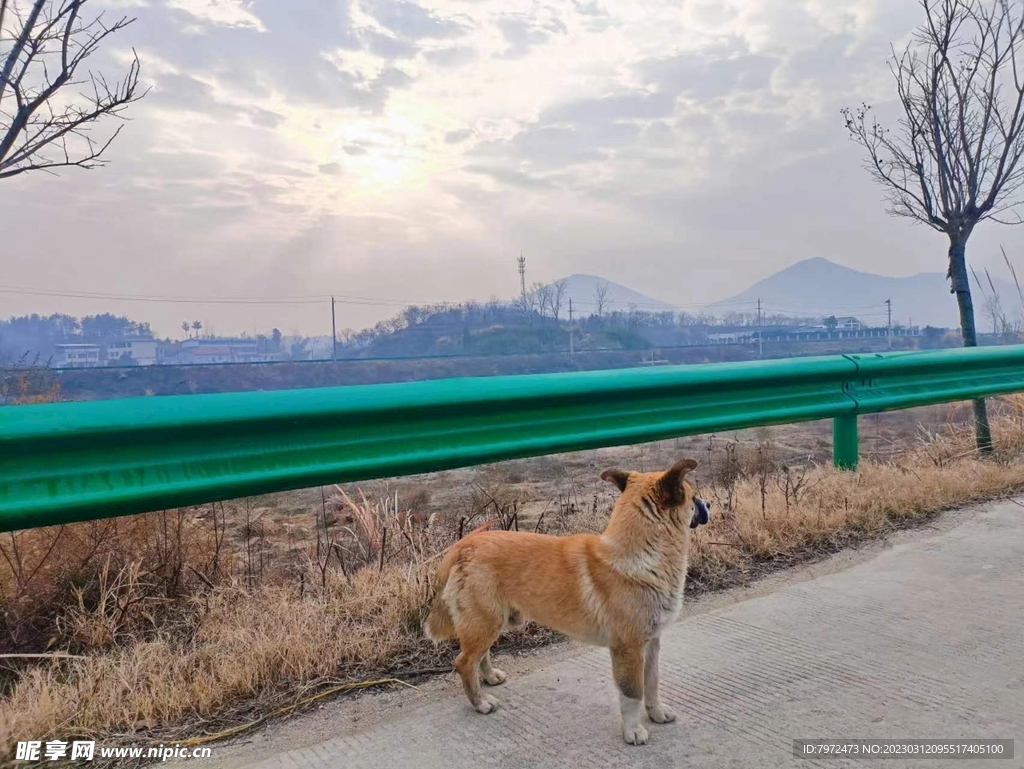 道路