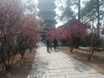 罗田塔山