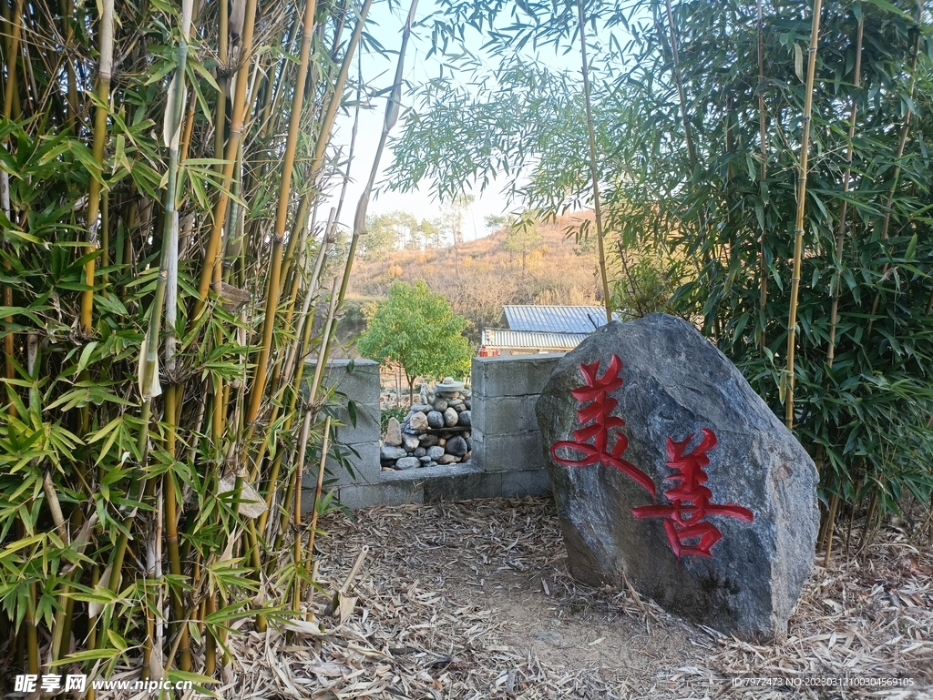 园林绿化