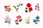 花朵素材