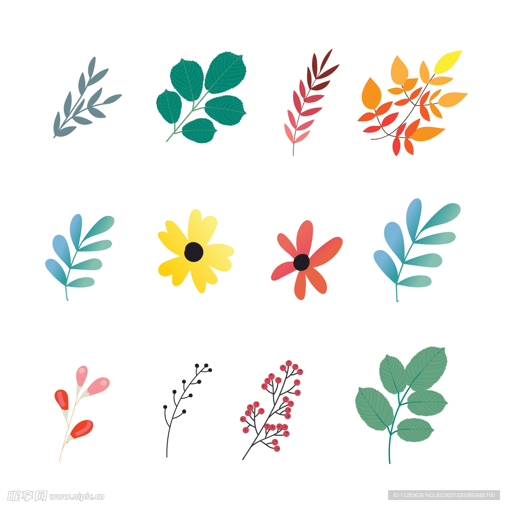 植物叶片
