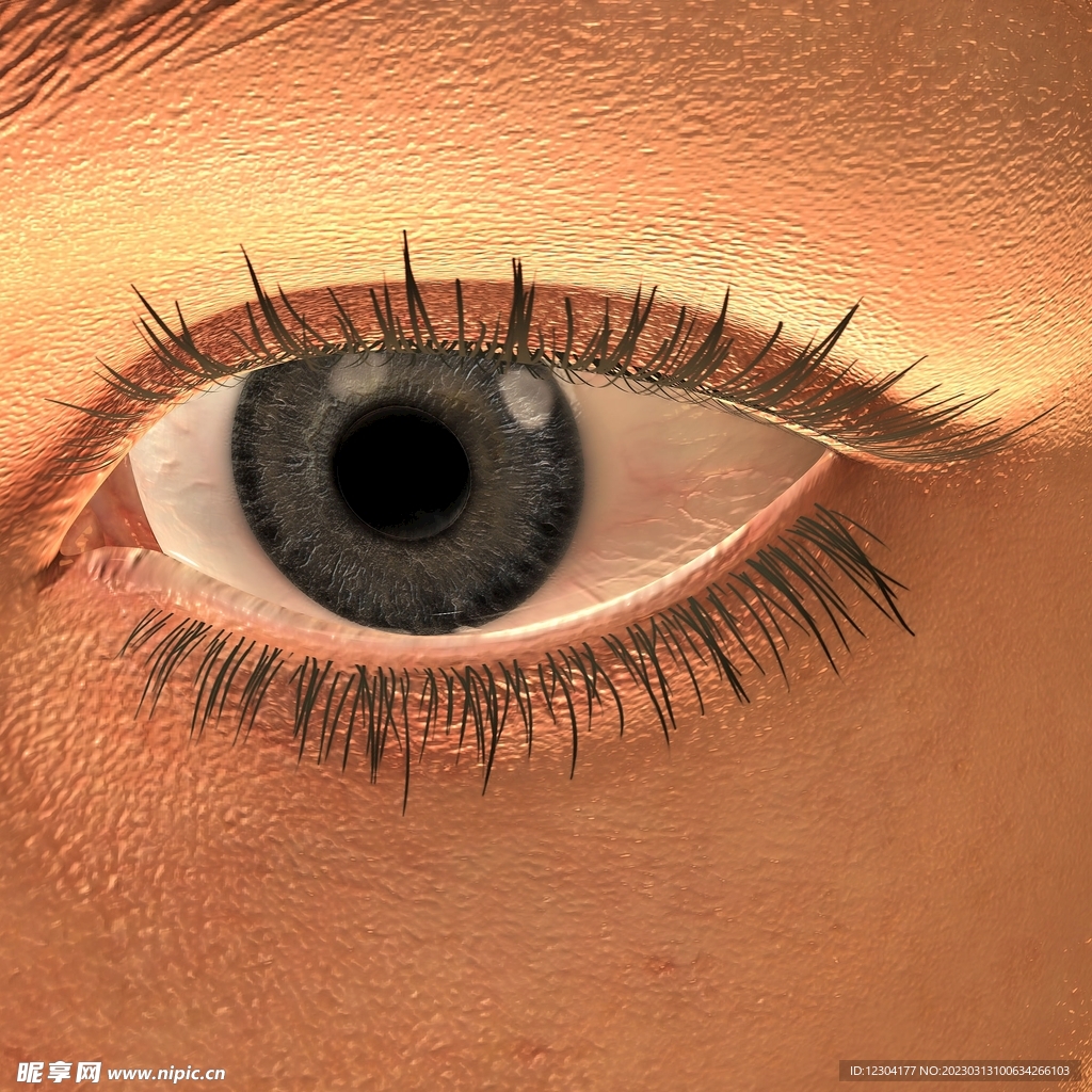 眼