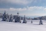 雪地