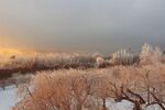 雪地