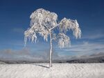 雪地