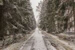 雪地