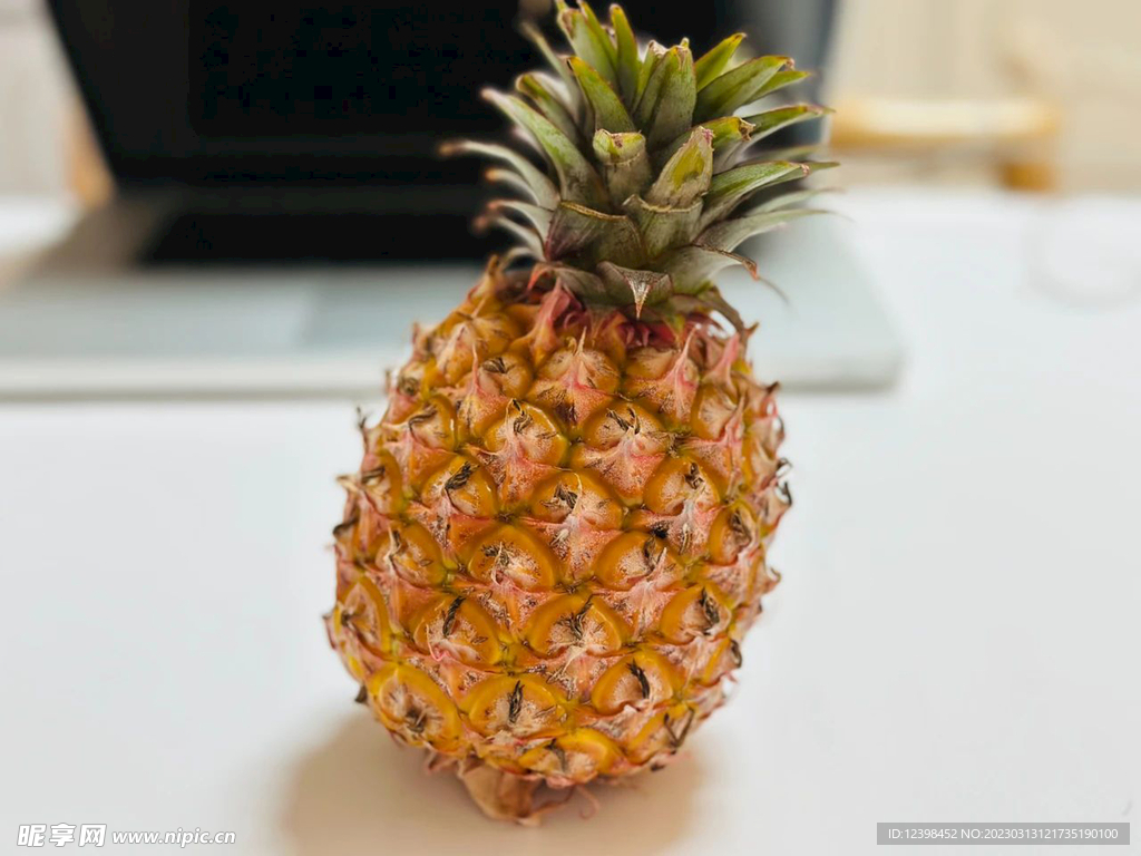 凤梨