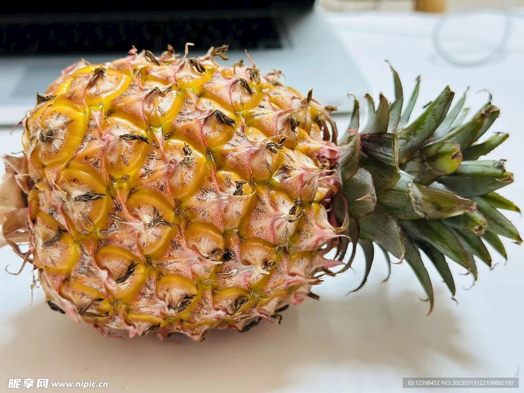 菠萝
