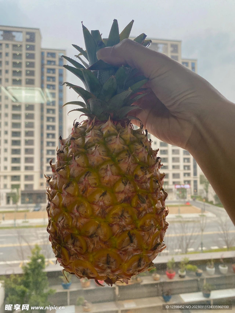 菠萝