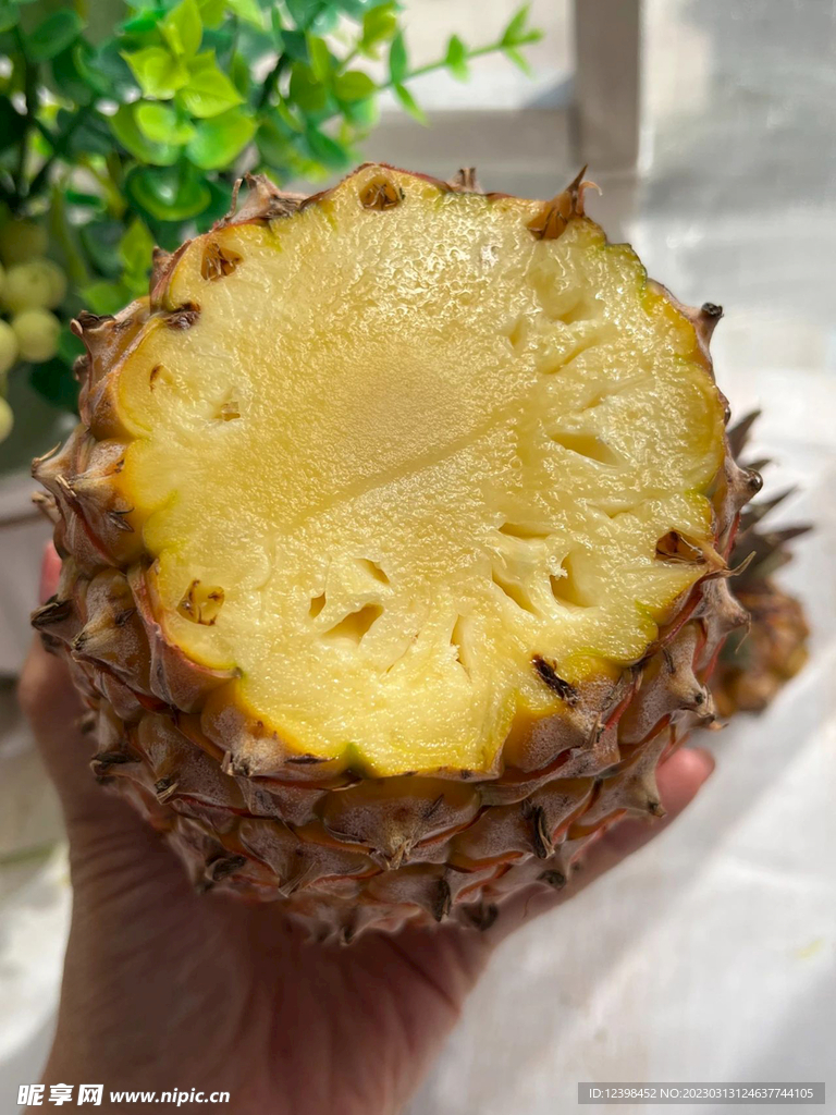 菠萝