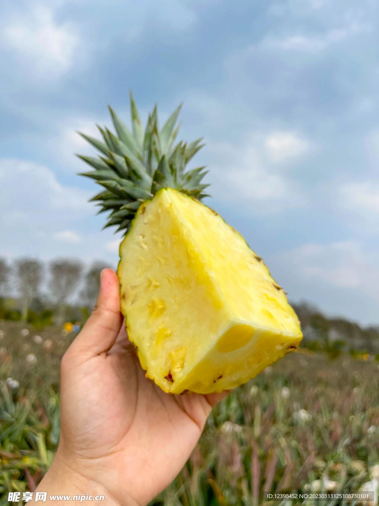 菠萝
