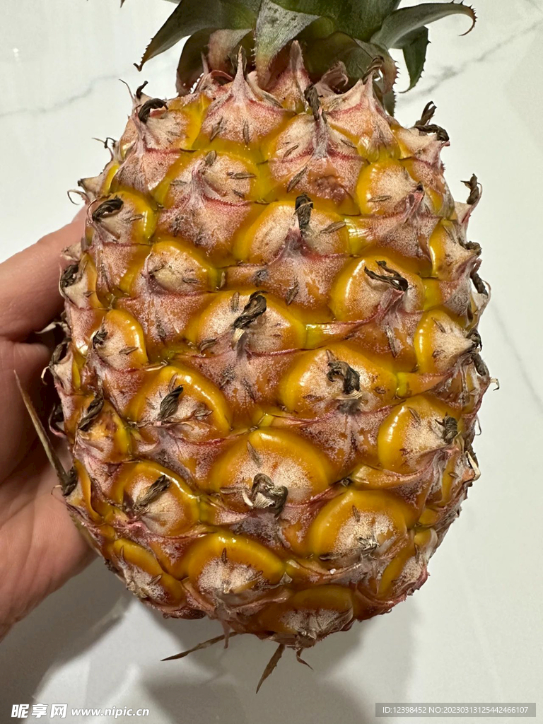 菠萝