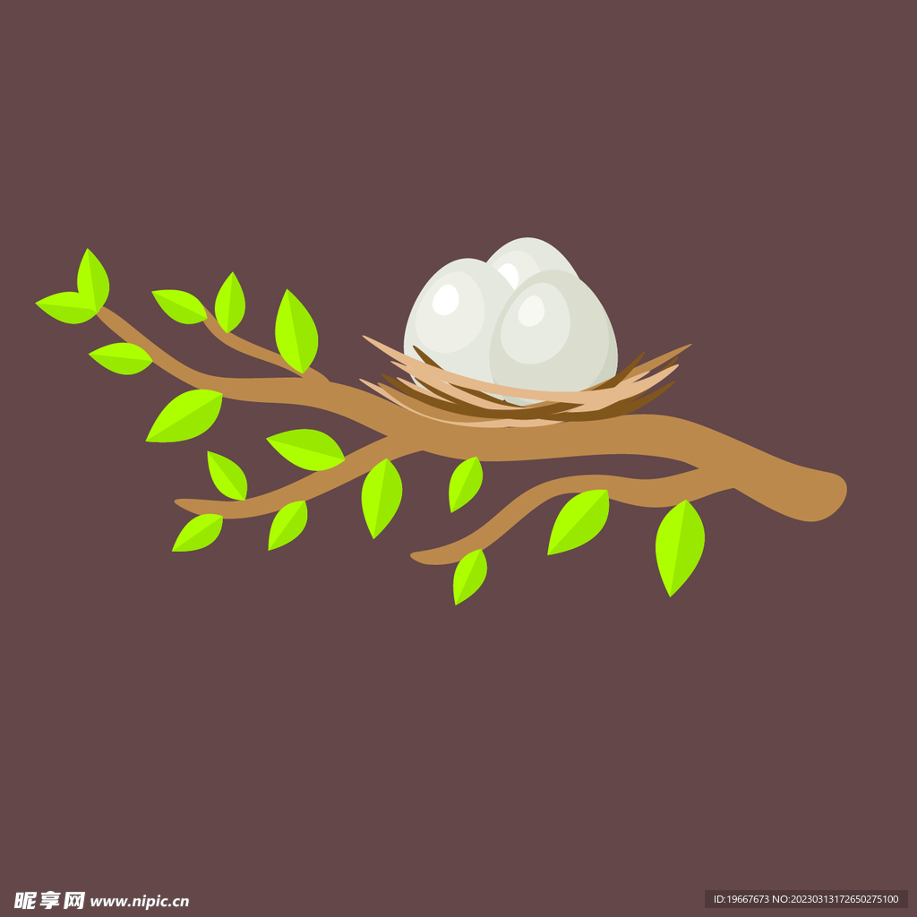 动物 