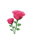 3D花卉 玫瑰花