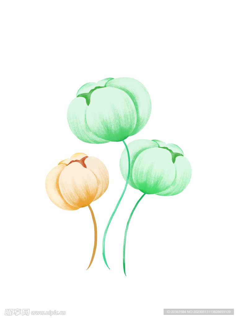 手绘花