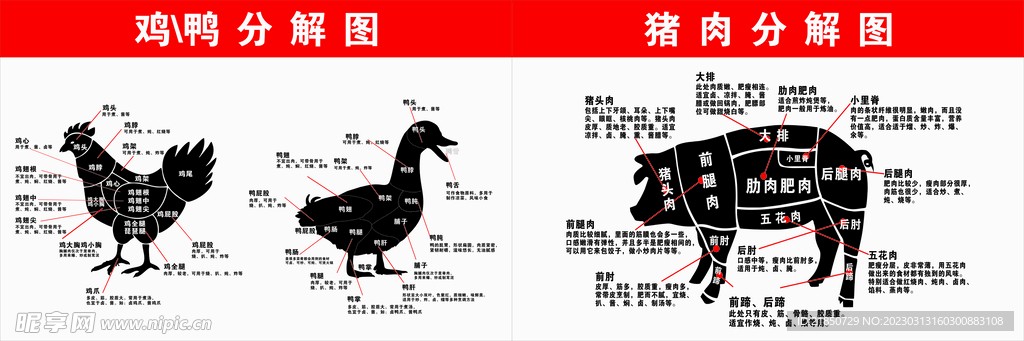 鸡鸭猪分解图