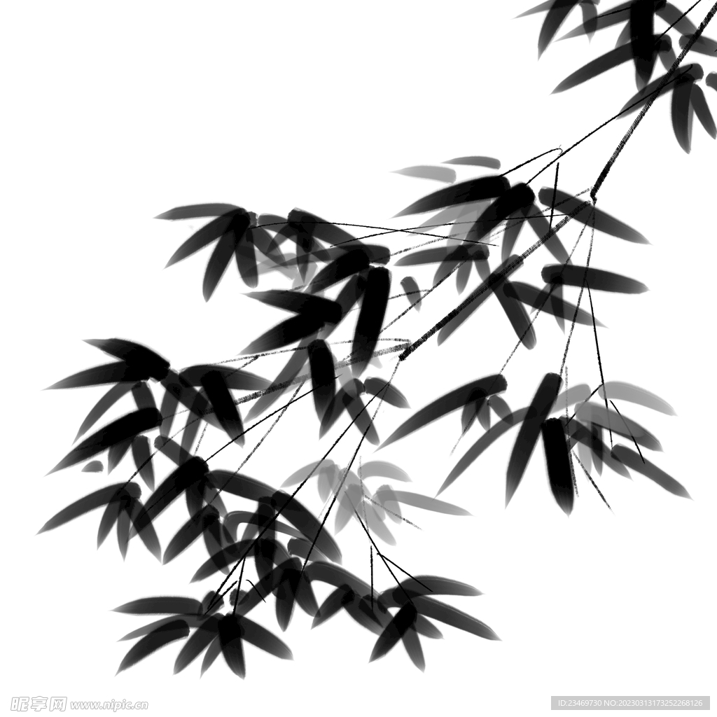 竹子