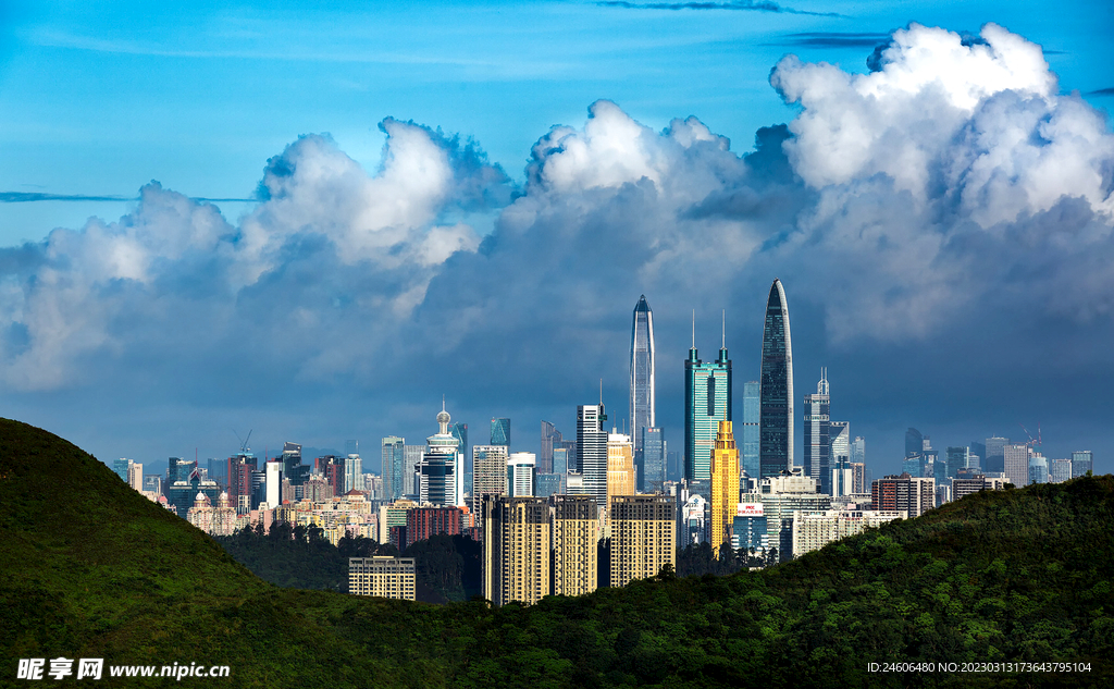 深圳 地标 城市