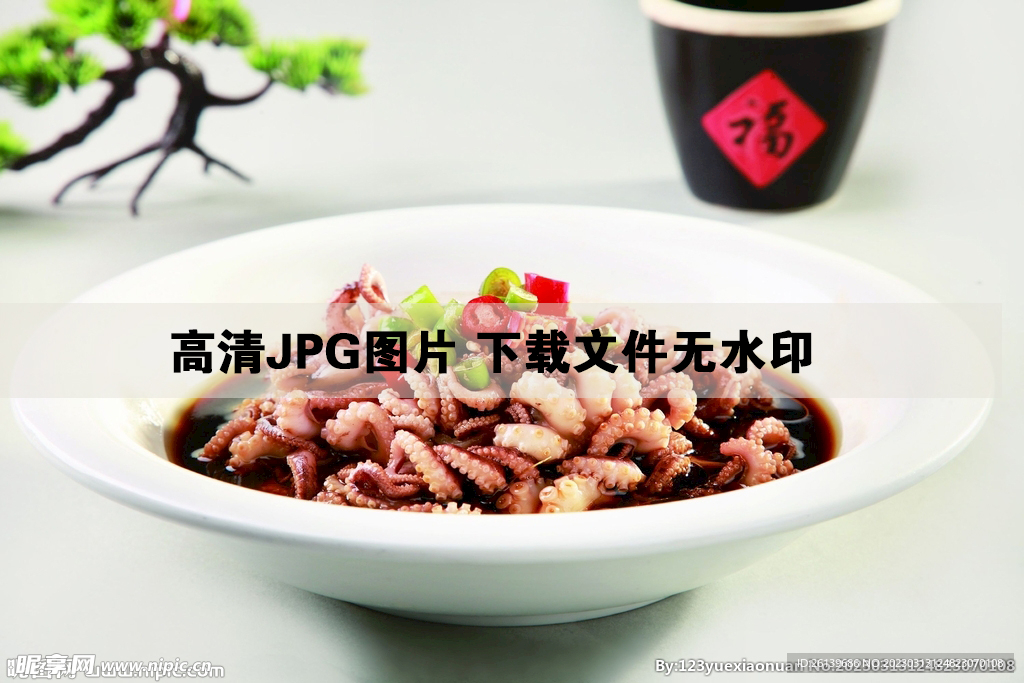 冰溶八爪鱼