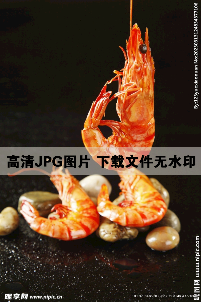 北极对虾
