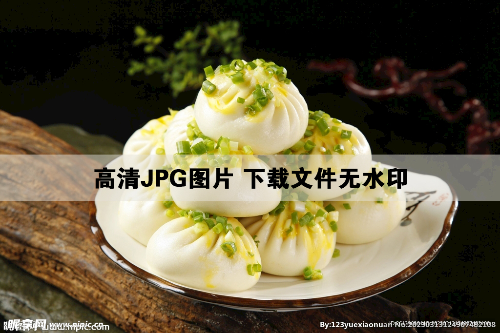 飘香葱煎包