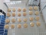 月饼