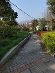 公园园林路