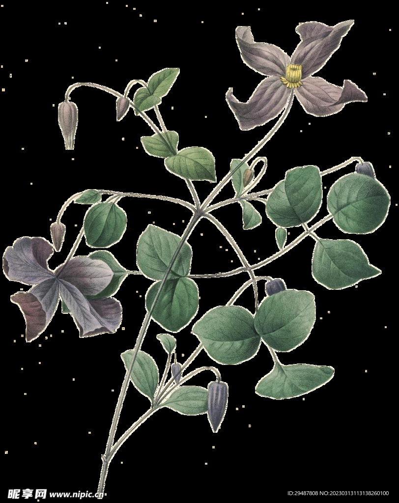 花