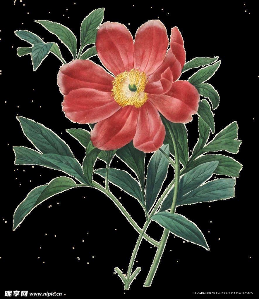 花