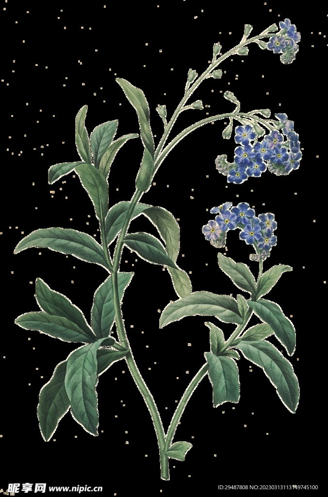 花