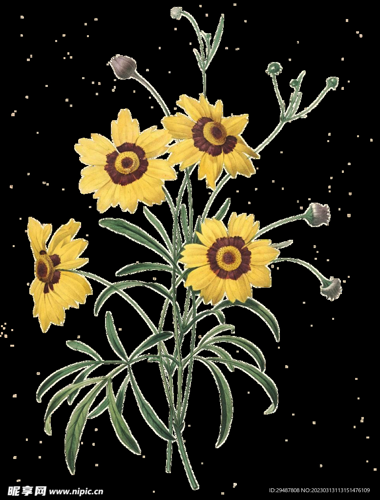 花