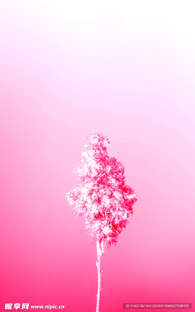 花