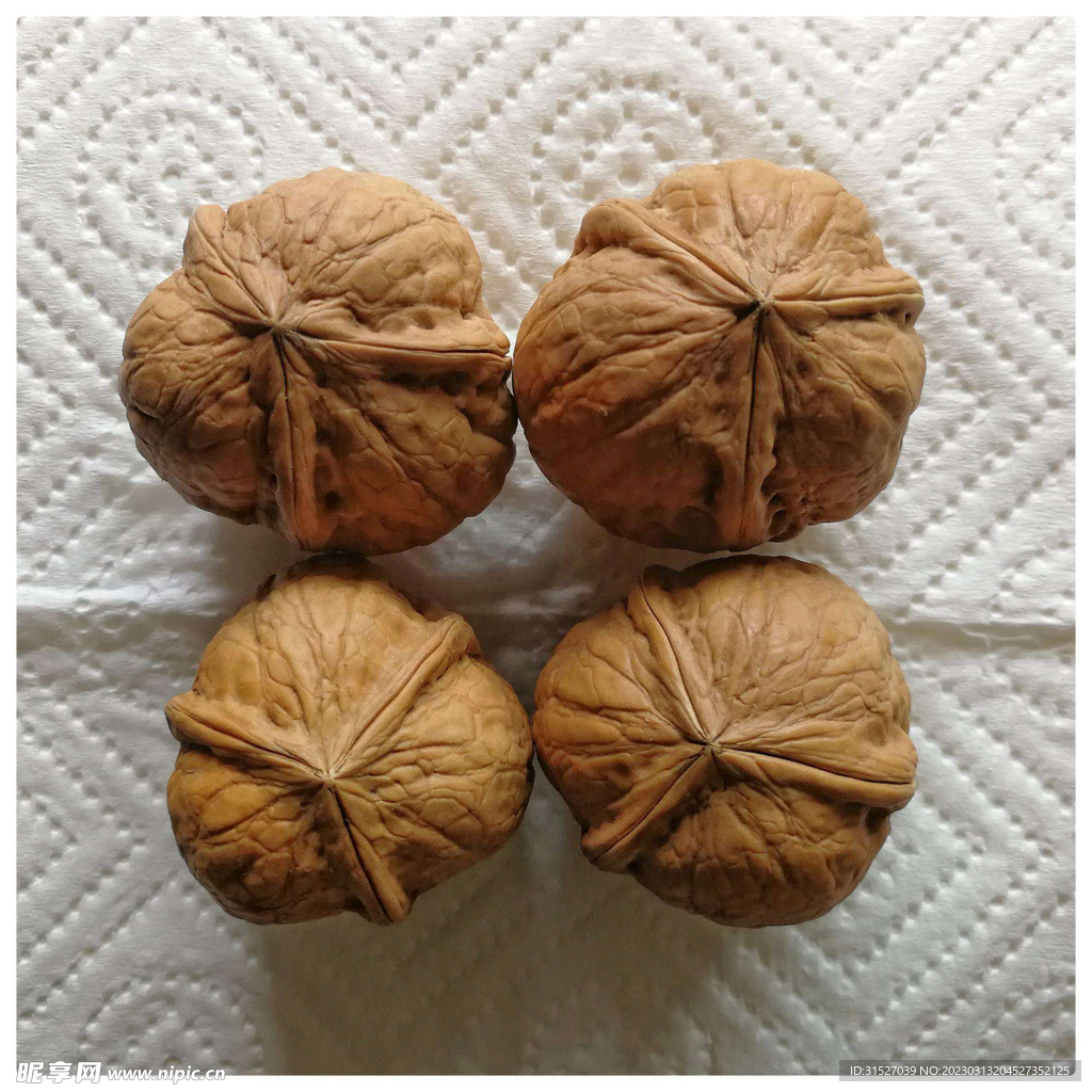 核桃图片素材