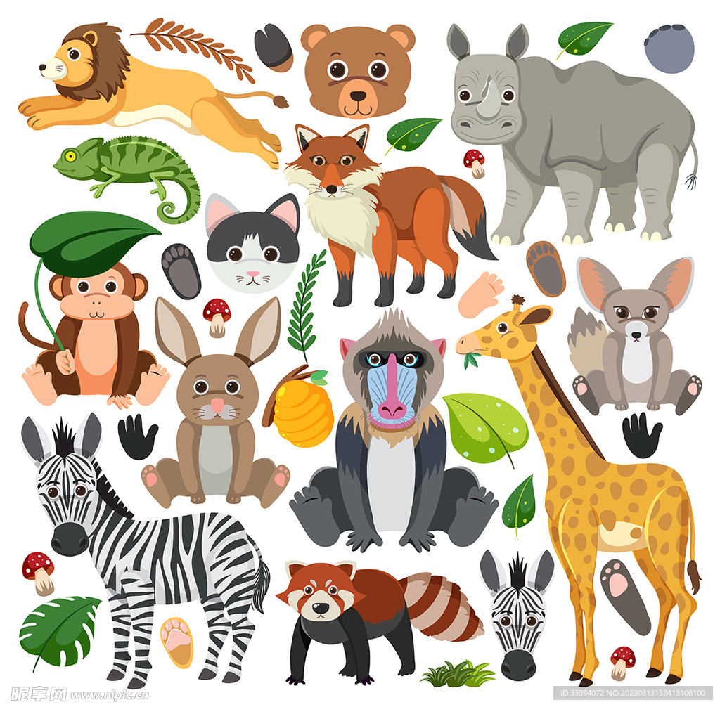 动物园动物插画
