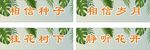 型芯种子